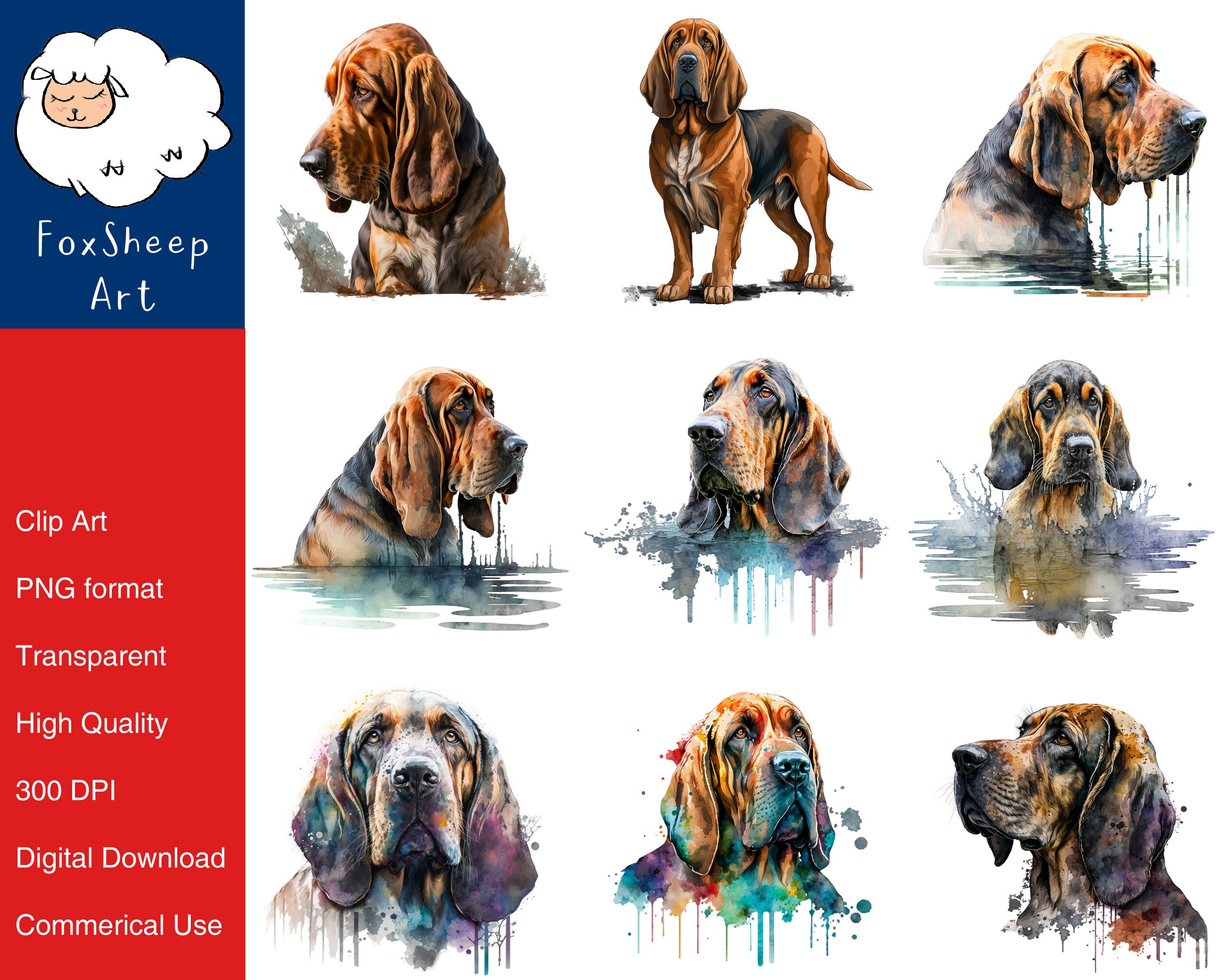 9 Bloodhound Dog Clipart High-quality PNG Image, Print, Paper, Art
