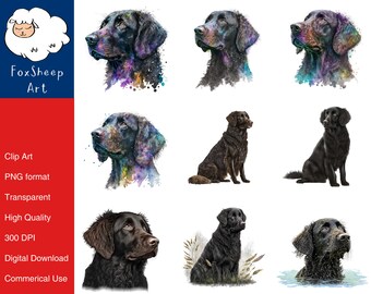 9 Curly-Coated Retriever Dog Clipart High-Quality PNG Image, Print, Paper, Art, Card, Watercolor, Clip, Commercial Use, Digital Download