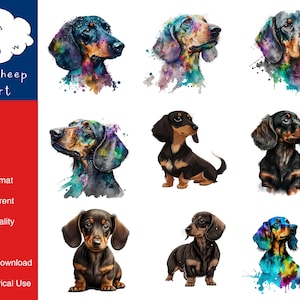 9 Dachshund Dog Clipart Imagem PNG de alta qualidade, impressão, papel, arte, artesanato, cartão, aquarela, clipe, uso comercial, download digital