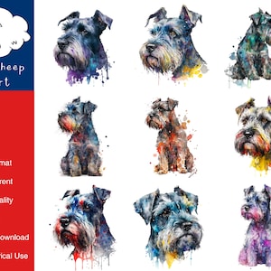 May include: Eight digital illustrations of miniature schnauzers in various poses. Each dog is painted in a watercolour style with splashes of colour.