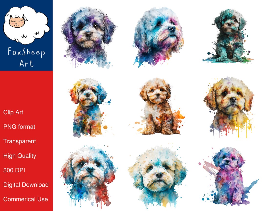 9 Maltipoo Dog Clipart High-quality PNG Image, Print, Paper, Art, Craft ...
