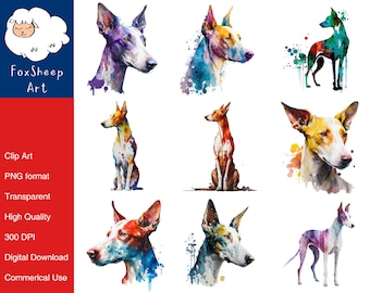 9 Ibizan Hound Dog Clipart High-Quality PNG Image, Print, Paper, Art, Craft, Card, Watercolor, Clip, Commercial Use, Digital Download
