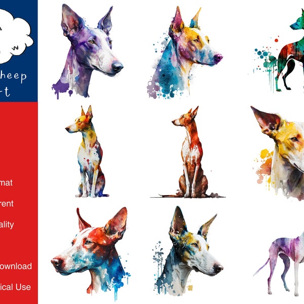 9 Ibizan Hound Dog Clipart High-Quality PNG Image, Print, Paper, Art, Craft, Card, Watercolor, Clip, Commercial Use, Digital Download