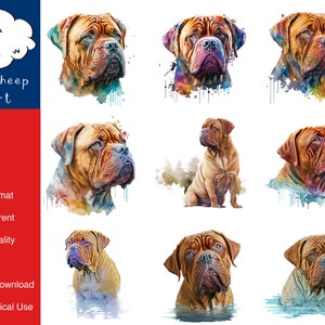 9 Dogue de Bordeaux Dog Clipart hoogwaardige PNG-afbeelding, afdrukken, papier, kunst, ambacht, kaart, aquarel, clip, commercieel gebruik, digitale download
