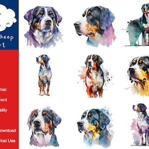 9 Schweizer Sennenhund Clipart Hochwertiges PNG Bild, Druck, Papier, Kunst, Karte, Aquarell, Clip, kommerzielle Nutzung, digitaler Download