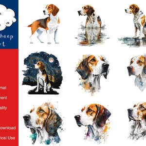 Puede incluir: Conjunto digital de clip art de ilustraciones de acuarela que representan a un perro de sangre en varias poses. Las ilustraciones incluyen un perro de pie, sentado y mirando hacia un lado. Las ilustraciones están realizadas en un estilo de acuarela con salpicaduras de color.