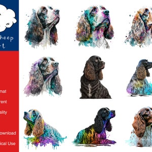 Könnte beinhalten: Eine digitale Illustration eines Springer Spaniel Hundes in verschiedenen Posen. Der Hund ist in Aquarell-Stil mit Farbspritzern dargestellt. Der Hund ist im Profil zu sehen, schaut zur Seite und sitzt. Der Hintergrund ist weiß.