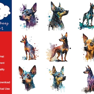 May include: A set of eight digital watercolour illustrations of a miniature pinscher dog in various poses. The dog is depicted in shades of brown, black, and white with watercolour splatters in the background.
