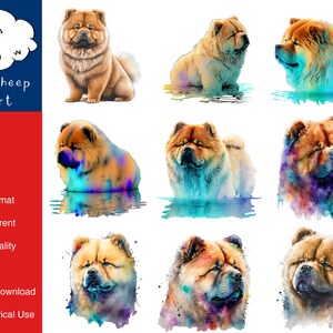 9 Chow Chow Dog Clipart High-Quality PNG Image, Print, Paper, Art, Craft, Card, Watercolor, Clip, Commercial Use, Digital Download