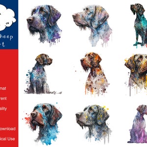 9 German Wirehaired Pointer Dog Clipart High-Quality PNG Image, Print, Paper, Art, Card, Watercolor, Clip, Commercial Use, Digital Download