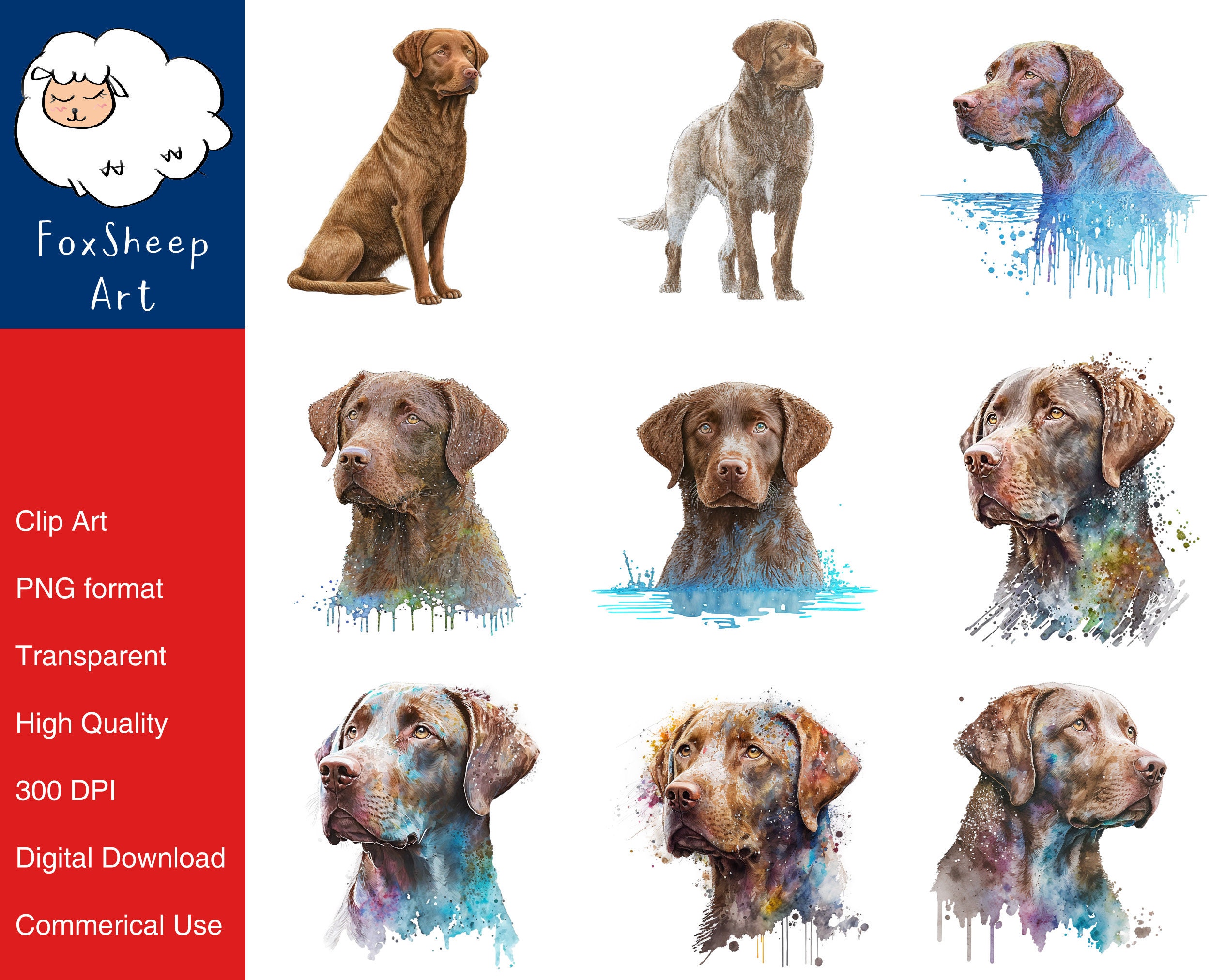 9 Chesapeake Bay Retriever Dog Clipart High-quality PNG Image, Print ...