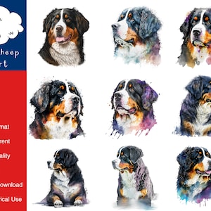 9 Berner Sennenhund Clipart Hochwertiges PNG Bild, Druck, Papier, Kunst, Handwerk, Karte, Aquarell, Clip, kommerzielle Nutzung, digitaler Download
