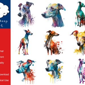 9 chien lévrier italien Clipart Image PNG de haute qualité, impression, papier, Art, artisanat, carte, aquarelle, Clip, usage Commercial, téléchargement numérique