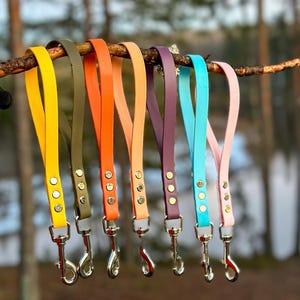 Biothane Handle | Dog Handle | Training Tab | Training Handle | Handle Leash