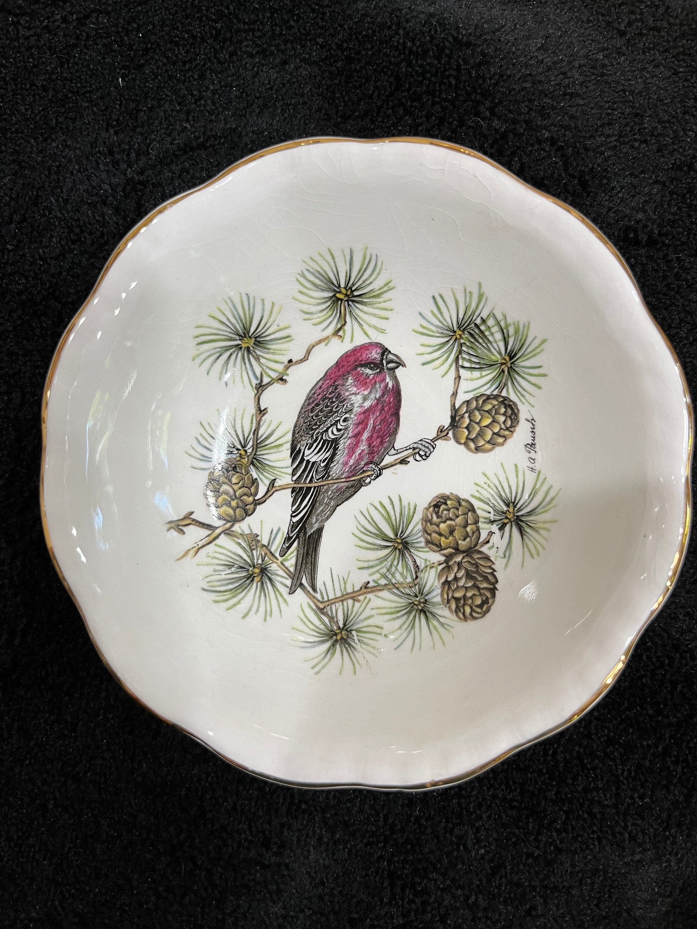 逸品　金彩装飾ハイハンドルC&S　アールデコ　Cauldon　英国アンティーク 逸品 ロブマイヤー 金彩エナメル ワトー紋 カップ&ソーサー
