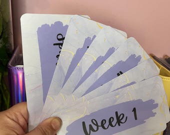 Purple Laminated Cash Wallet Tracker | A6 Budget Binder Inserts