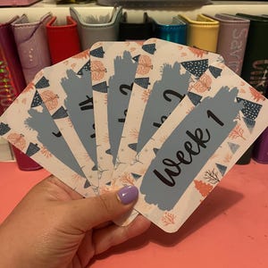 Laminated Weekly Cash Wallet Tracker: A6 Budget Binder Inserts