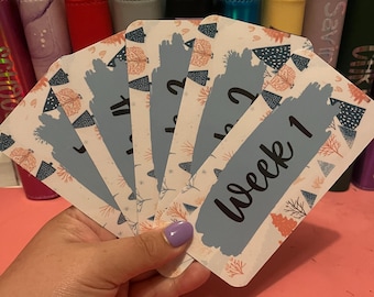 Laminated Weekly Cash Wallet Tracker: A6 Budget Binder Inserts