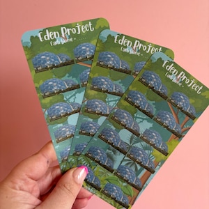 Può includere: Tre carte con il progetto Eden. Ogni carta presenta un'illustrazione di una struttura a cupola blu con il testo "Eden Project" e "Each biome". Le carte sono tenute su uno sfondo rosa.