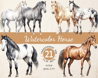 Graceful Equine, Kolekcja Clipartów, Pakiet Clipartów, Sztuka Ilustracji, Przezroczyste PNG, Pobieranie Cyfrowe, Wykorzystanie Komercyjne