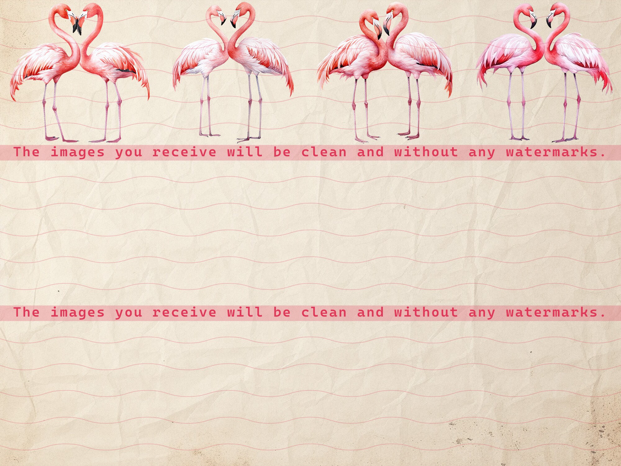 Pink Flamingos, Clipart Collection, Watercolor Flamingo, Transparent ...
