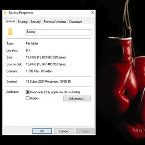 May include: A Windows file properties window with the title "Boxing Properties". The window shows the details of a folder named "Boxing" located on drive D. The folder contains 1,798 files and 0 folders. The folder was created on February 15, 2024 at 7:55:35 PM.