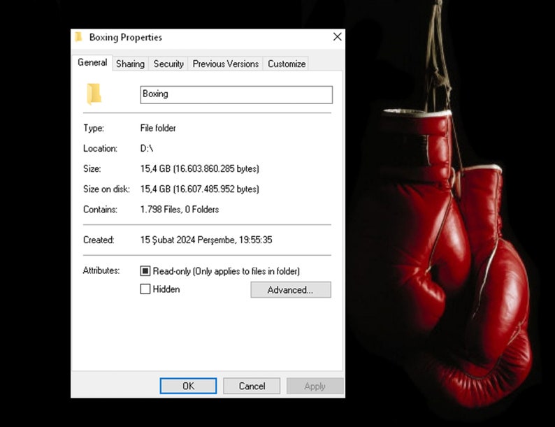 May include: A Windows file properties window with the title "Boxing Properties". The window shows the details of a folder named "Boxing" located on drive D. The folder contains 1,798 files and 0 folders. The folder was created on February 15, 2024 at 7:55:35 PM.