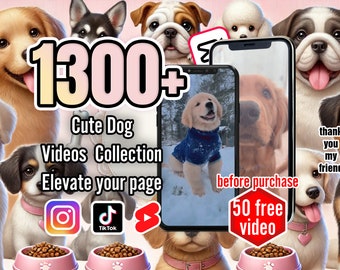 1300+ collectie schattige hondenvideo's: perfect voor Instagram, TikTok, YouTube-shorts en verbetering van sociale media