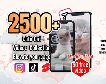 Colección de más de 2500 videos de gatos adorables para TikTok, YouTube Shorts, Instagram Reels: descarga digital viral, de tendencia y de alta calidad