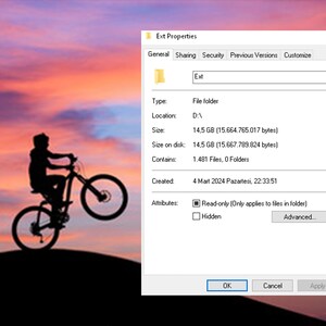 May include: A screenshot of a Windows file properties window showing the details of a folder named "Ext". The folder is located on the D drive and contains 1,481 files and 0 folders. The folder is 14.5 GB in size and was created on 4 March 2024.