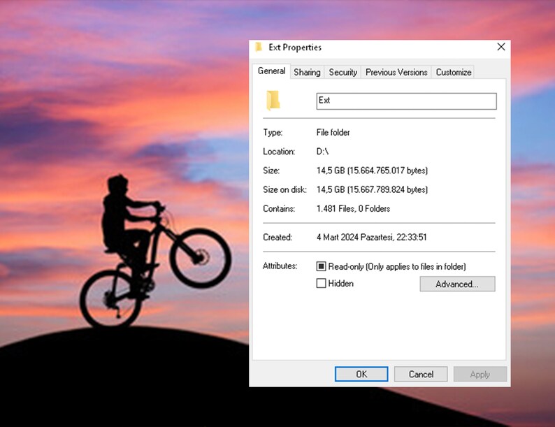 May include: A screenshot of a Windows file properties window showing the details of a folder named "Ext". The folder is located on the D drive and contains 1,481 files and 0 folders. The folder is 14.5 GB in size and was created on 4 March 2024.