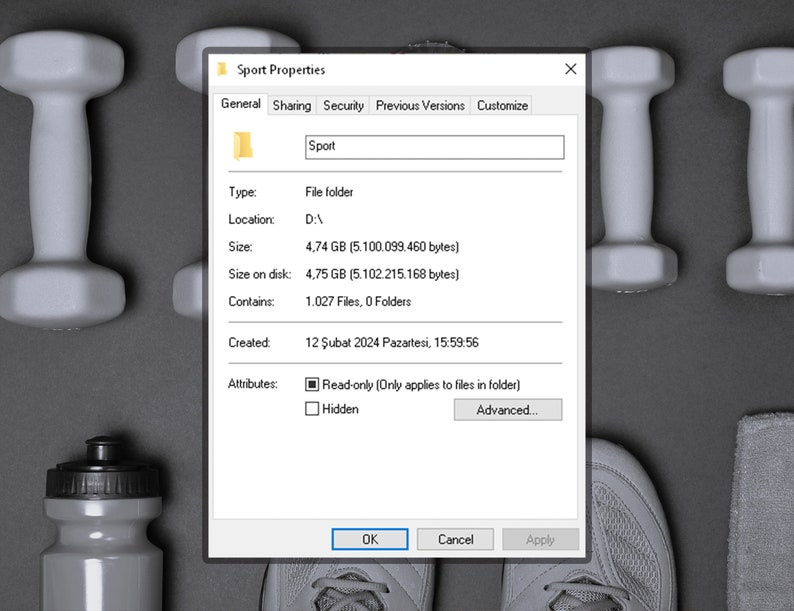May include: A computer screen displaying a folder properties window. The folder is named "Sport" and contains 1,027 files and 0 folders. The folder is located on drive D and was created on February 12, 2024 at 3:59:56 PM. The folder is 4.74 GB in size and takes up 4.75 GB of disk space.