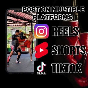 May include: A smartphone screen displaying a graphic with the text "POST ON MULTIPLE PLATFORMS" and icons for Instagram Reels, YouTube Shorts, and TikTok.