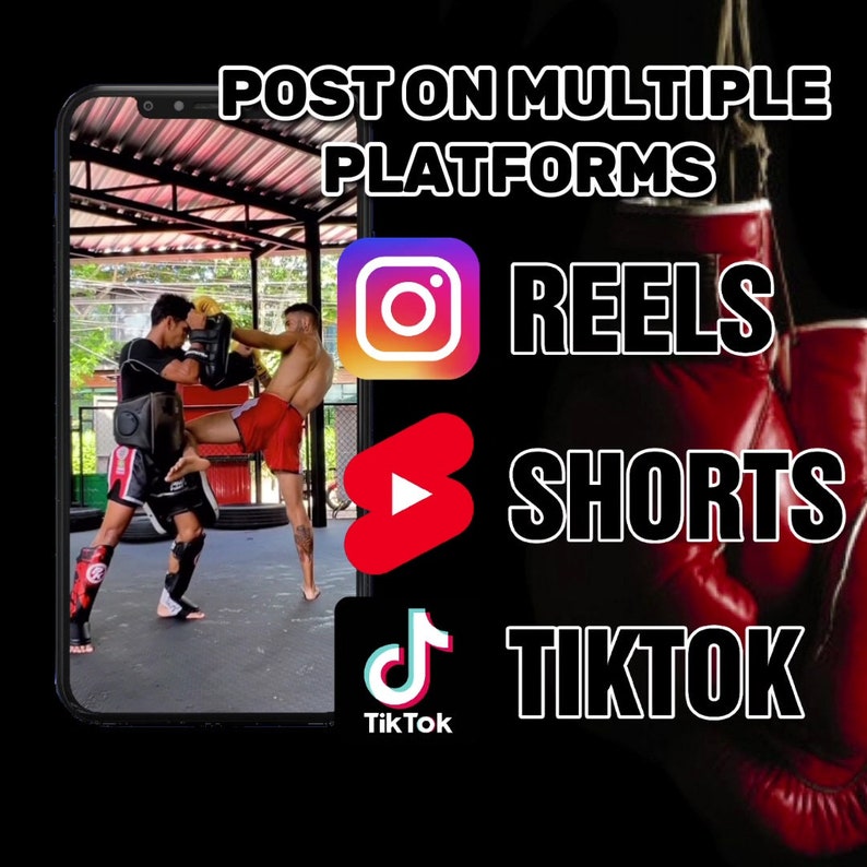 May include: A smartphone screen displaying a graphic with the text "POST ON MULTIPLE PLATFORMS" and icons for Instagram Reels, YouTube Shorts, and TikTok.