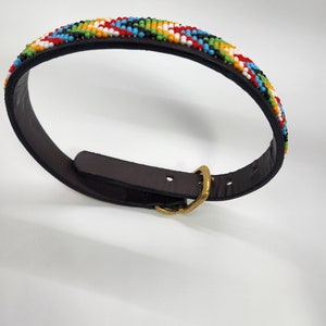 Handmade dog collar made by maasai Maasai women in Arusha, Tanzania.  Each collar is a work of art, made using leather and vibrant beads.