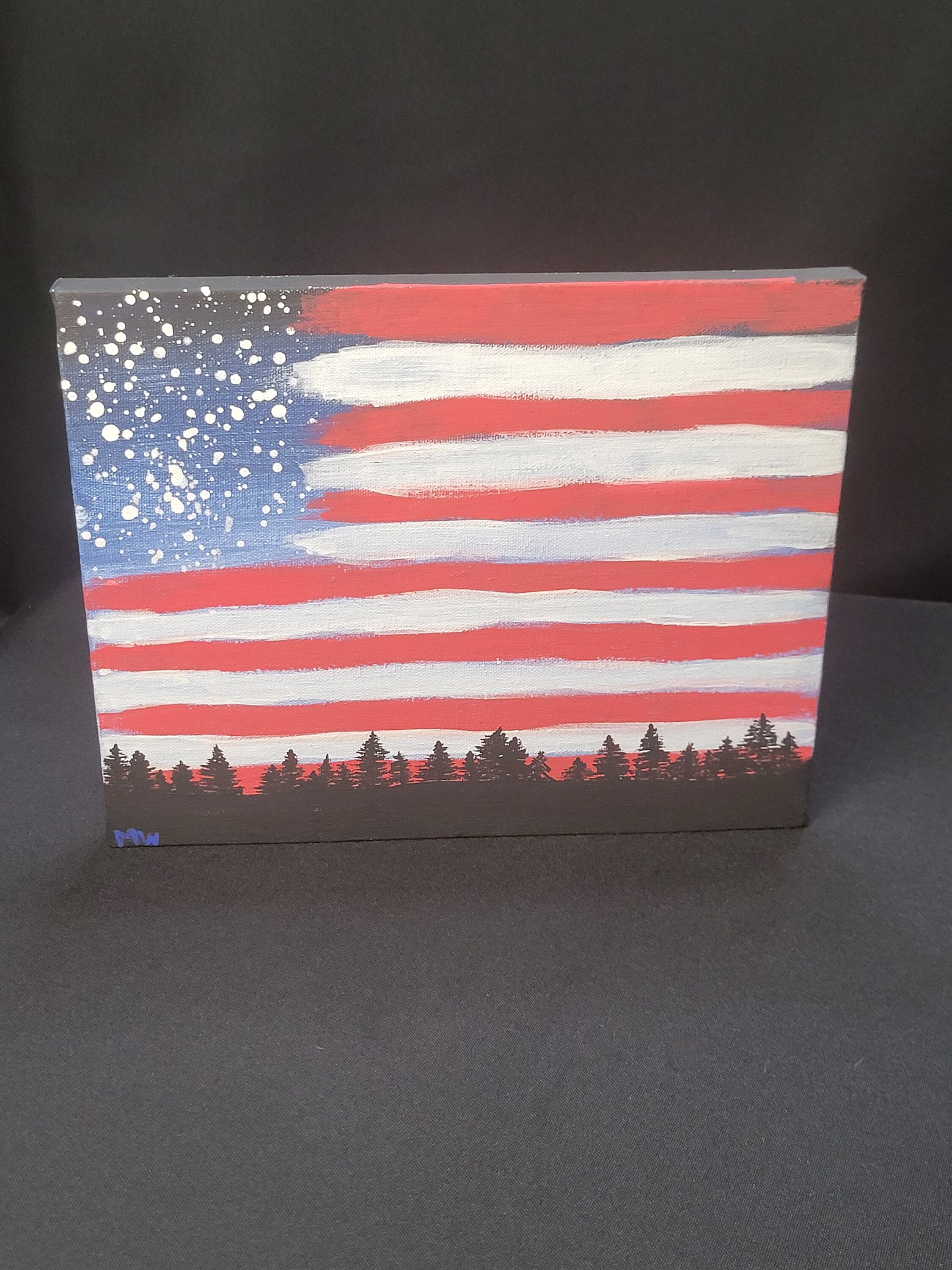 Hand Painted American Flag With Splatter Effect for Nighttime Sky on ...