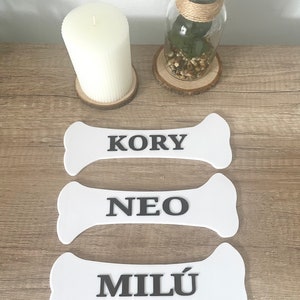 Letrero forma de hueso personalizado