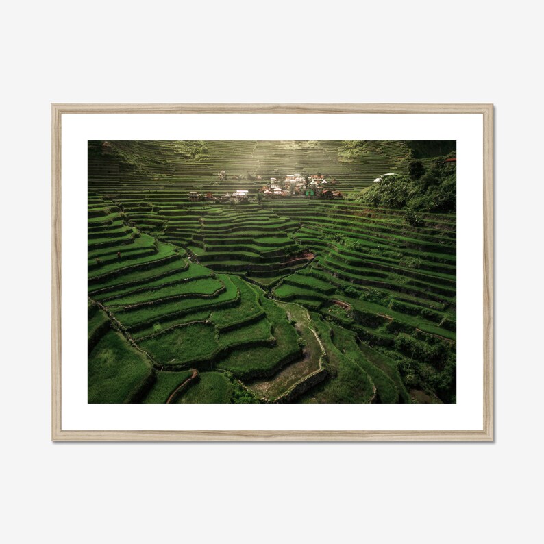 Aerial view of the magnificent Batad rice terraces in the Philippines, a captivating example of human ingenuity and the harmonic, sustainable relationship between people and their environment.