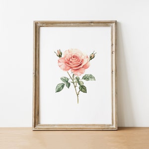 Vintage Pink Rose Print, Digital Download Flower Artwork, Botanical Illustration Wall Art, Printable Floral Decor, Instant Wall Art
