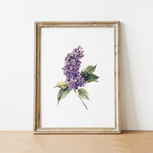 Purple Lilac Flower Botanical Print Digital Download Floral Wall Art Watercolor Art Printable Nature Illustration