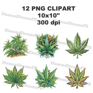 12 Cannabis Clip Art, Marijuana Clipart, Weed, Gems, Bushes, Leaves, Watercolor, PNG File, Transparent Background, Instant Download, 300 DPI