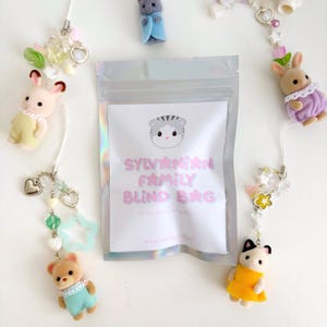 Blind Bag Handmade Critter Baby Tiere Perlen Schlüsselbund Mystery Bag