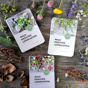 PAKKET | Flashcards over wilde kruiden