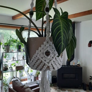 Pode incluir: Um suporte de planta de macramé branco com contas de madeira penduradas no teto, segurando uma planta em vaso com folhas verdes grandes.