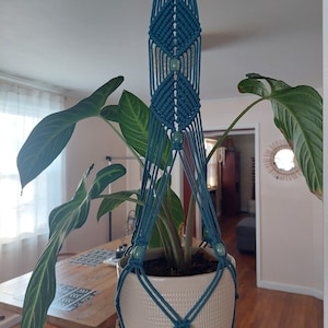 Könnte beinhalten: Ein türkisfarbener Makramee-Pflanzenhänger mit drei grünen Perlen, die an einem Holzring hängen. Eine Topfpflanze hängt im Makramee-Hänger.