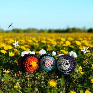 Crochet LGBeeTQ+ | Pride Bees | Pride Festival Memorabilia | LGBTQ+ | Gifts for Them