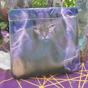 Squeeze Top Bag, Purple Lightning Cat