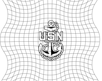 アメリカ海軍太平洋艦隊司令官 (USPACFLT) - USN 番号付き艦隊