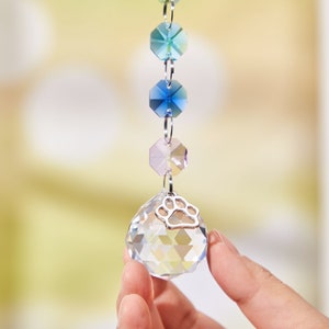 May include: A crystal suncatcher with a silver paw print charm. The suncatcher features a clear crystal ball with faceted sides and a chain of iridescent blue, green, and pink crystals.
