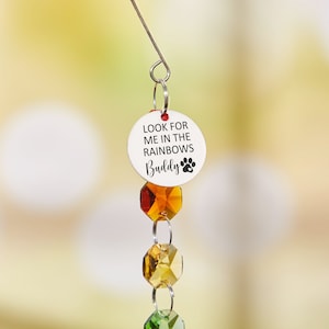 May include: A white circular charm with the text "Look for me in the rainbows Buddy" and a paw print hangs from a crystal suncatcher with orange, yellow, and green crystals.
